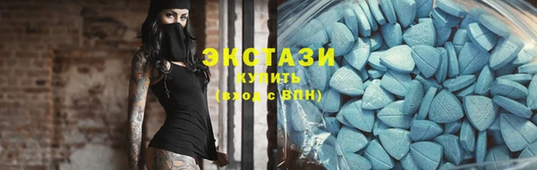 ECSTASY Богородицк